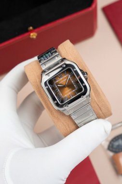 Cartier Santos WSA0065 Replica Watch Women Dial Brown BV Factory 35mm