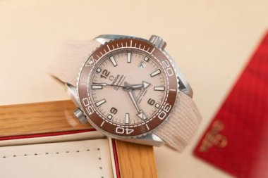 Omega Best Replica Watches Planet Ocean 600M Dial Light Pink VS Factory 43.5mm