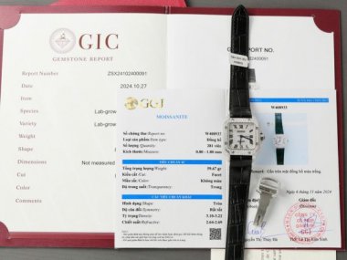 Cartier Santos Women Copies Watches Full Moissanite Diamonds Custom 35mm